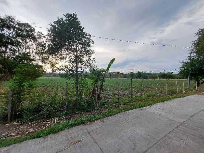 Rush!, Property, For Sale, Lot on Carousell