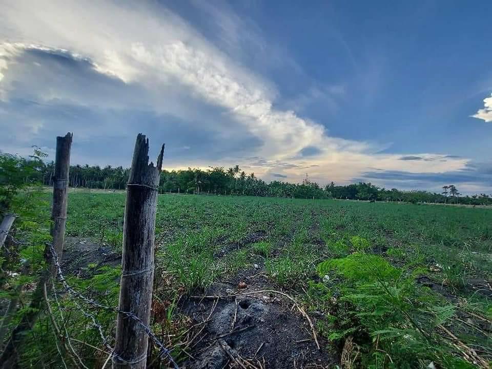 Rush!, Property, For Sale, Lot on Carousell