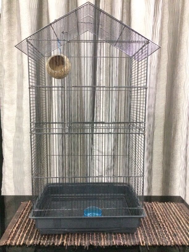 Sangkar sugar glider murah best sale