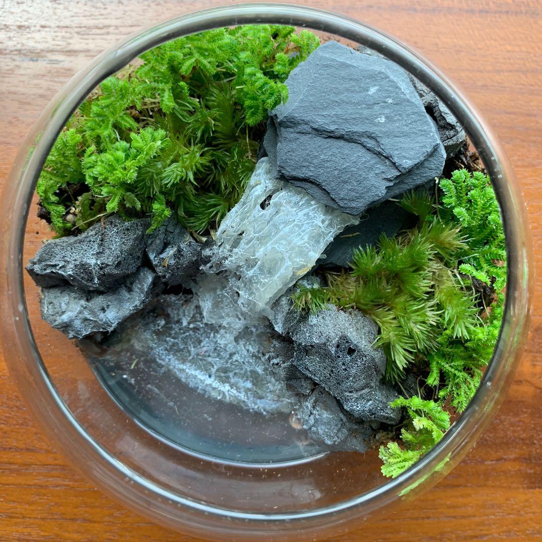 Miniature Live Moss Terrarium with Waterfall Scene