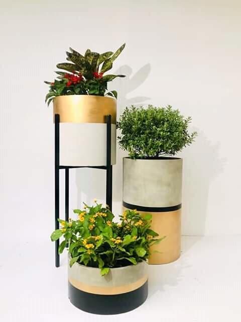 Zendaya Glass Fiber Reinforced Concrete Planters Gold Series Gardening Garden Tools Supplies On Carousell