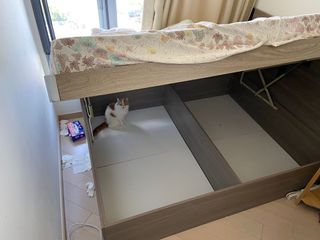 （分類：）位於 。 由 utopia718 提交（商品編號 1016688888，圖片 1）。簡介： 。