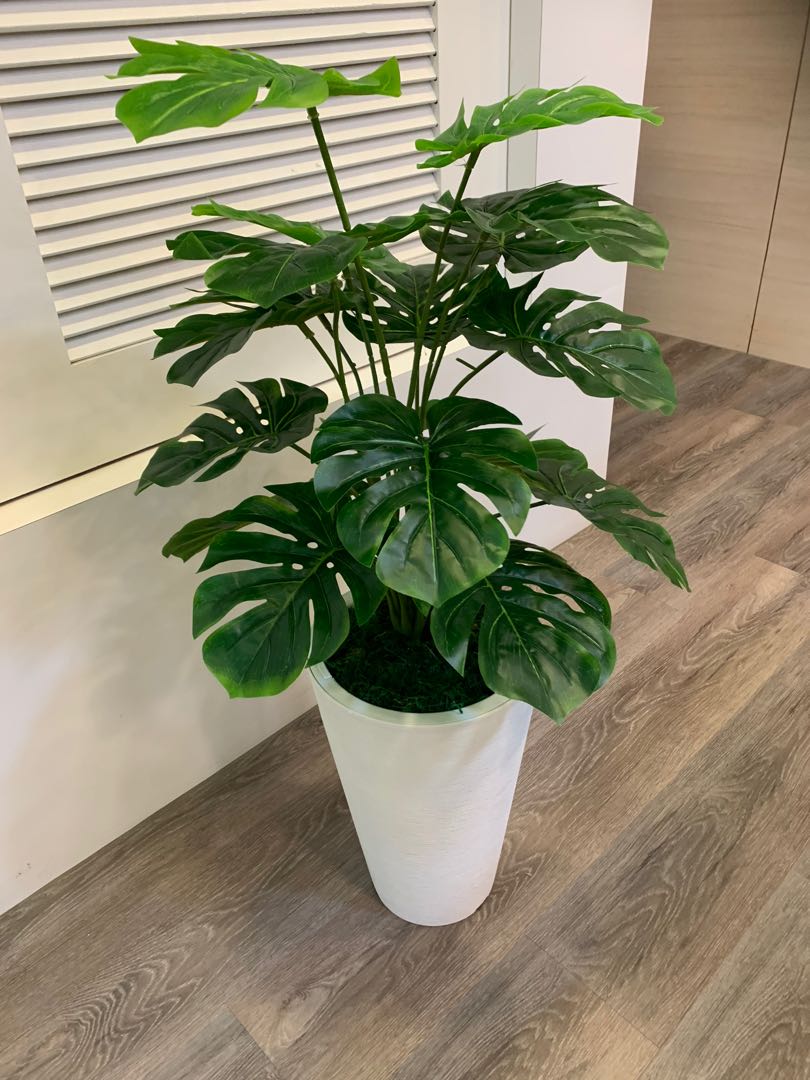 Artificial plants with delivery and setup
