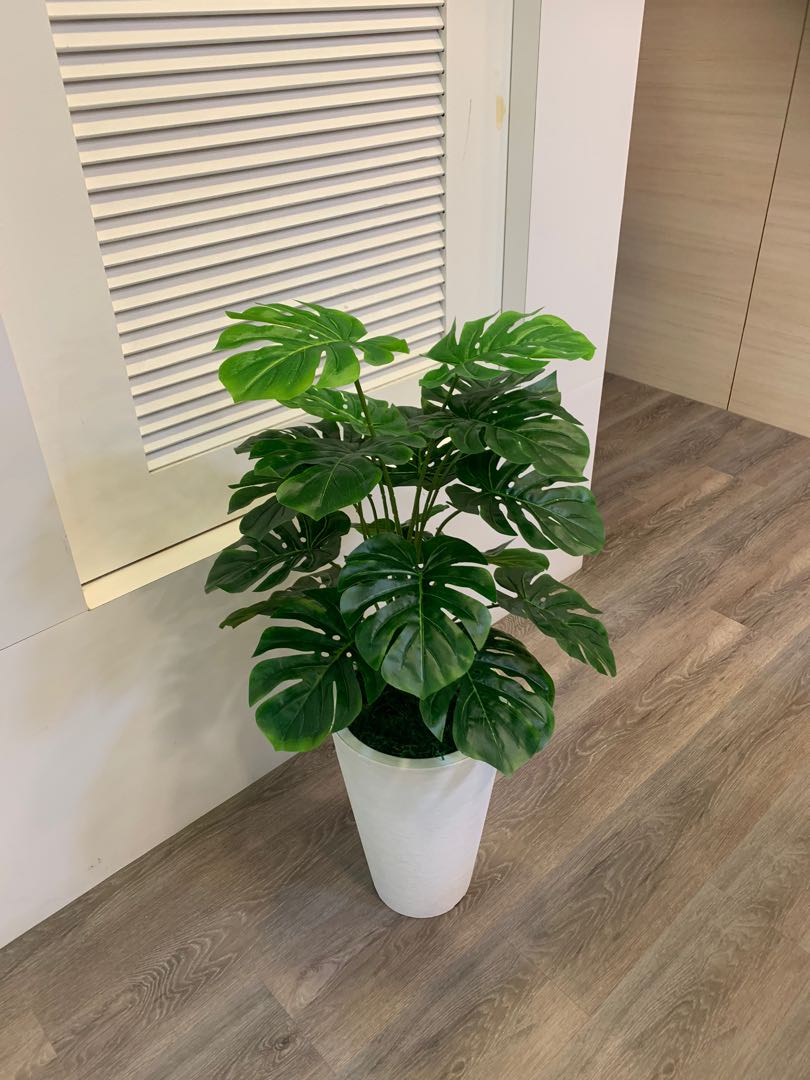 Artificial plants with delivery and setup