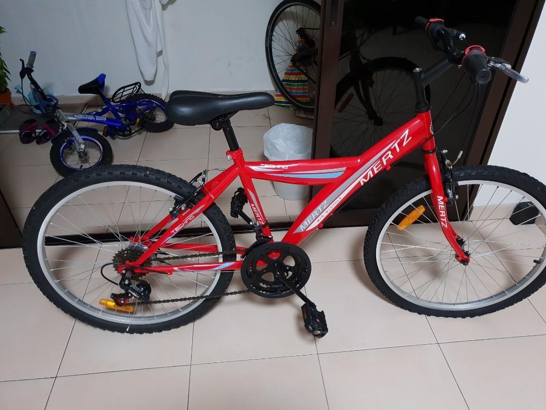 pedal bike service