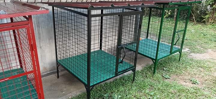 dog cage for sale 3x3x4
