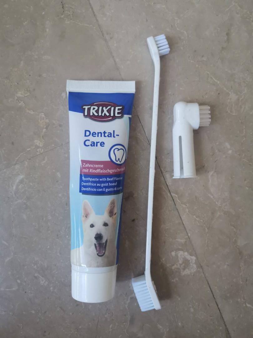 edible toothbrush for dogs