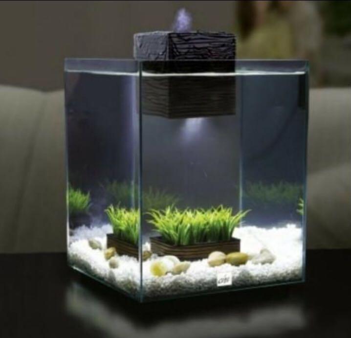 Fluval 2025 chi accessories