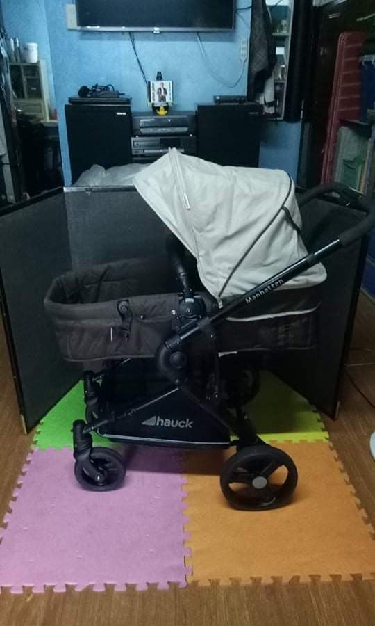 hauck stroller bag