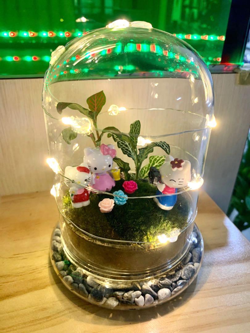 live moss terrarium with blinking fairytale lights and hello kitty furniture home living home decor artificial plants flowers on carousell