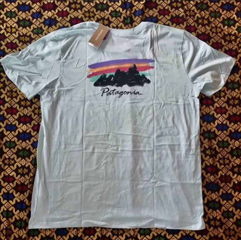 patagonia shirt large