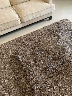 SALE Showcase Carpet Shaggy Carpet