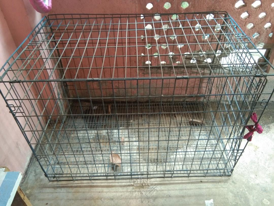 Used small animal cage sale