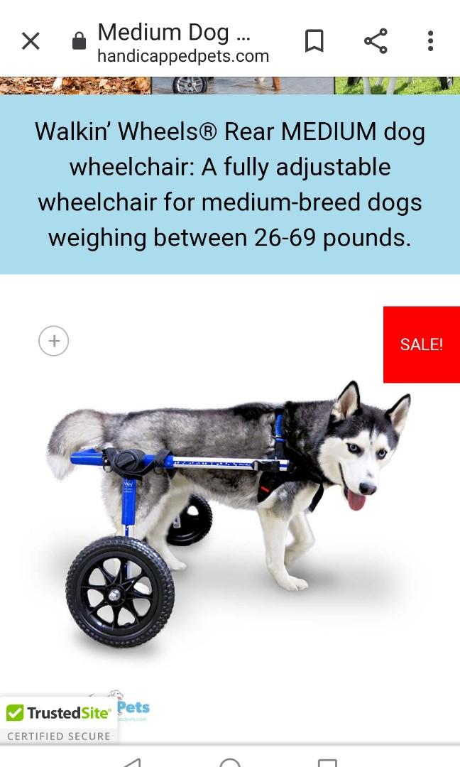 Used walkin wheels for medium dog., Pet Supplies, Homes & Other Pet