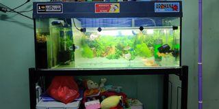 Aquarium 4 Pet Supplies Carousell Malaysia