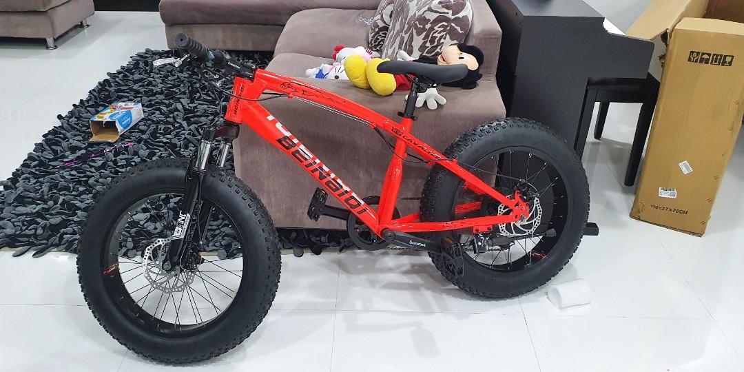 kids fat bike