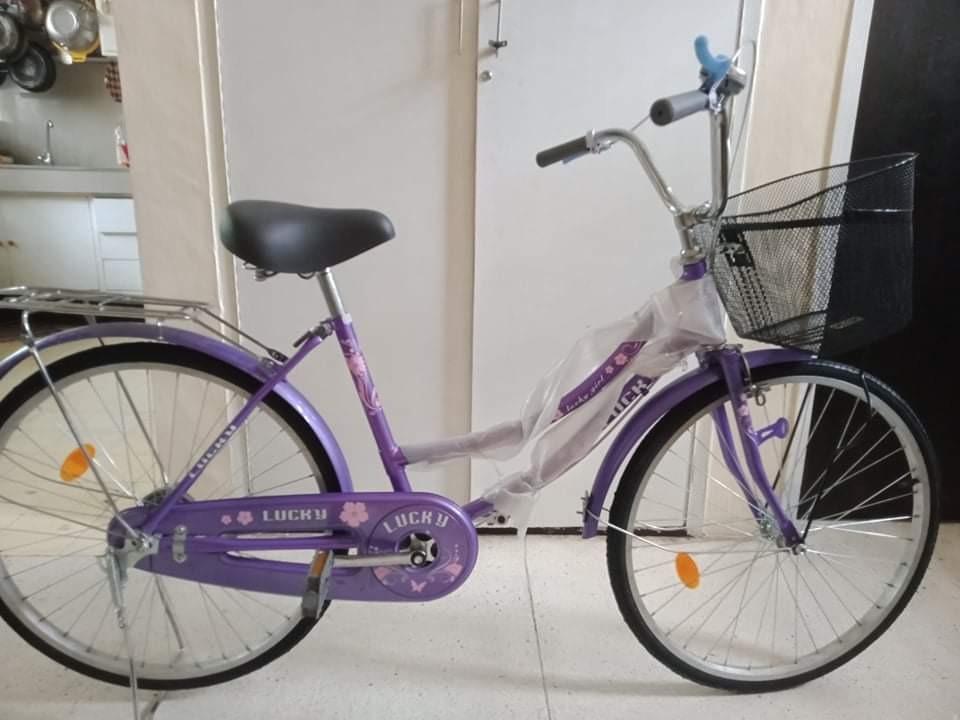 24 ladies bike