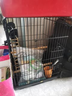 (Category: ) located in . Submitted by kirahc (Listing ID 1016964046, Image 1). Description: .