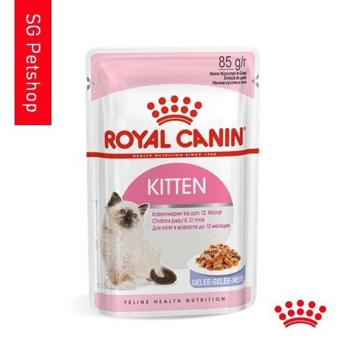 Royal Canin Feline Health Nutrition Kitten Wet Food 85g Pet Supplies For Cats Cat Food On Carousell
