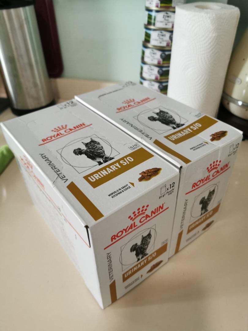 Royal Canin Urinary S O Wet In Pouches Pet Supplies For Cats Cat Food On Carousell
