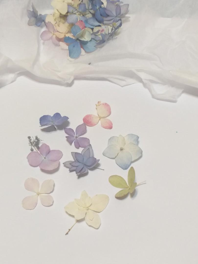 日本直送立體乾花日本乾花紫陽花繡球花uv膠水晶膠ab膠滴膠封入物乾花飾物真花飾物日本手作材料 興趣及遊戲 手作 自家設計 文具及工藝