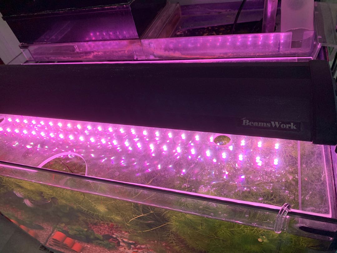 Beamswork led hotsell aquarium light