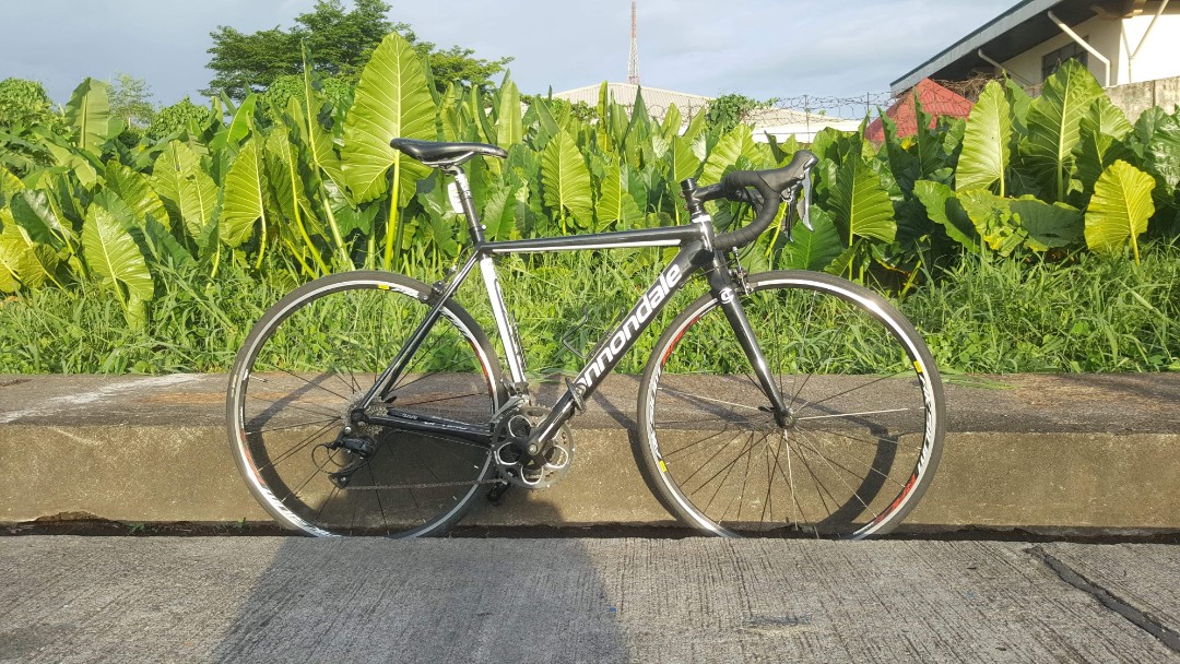 cannondale caad optimo