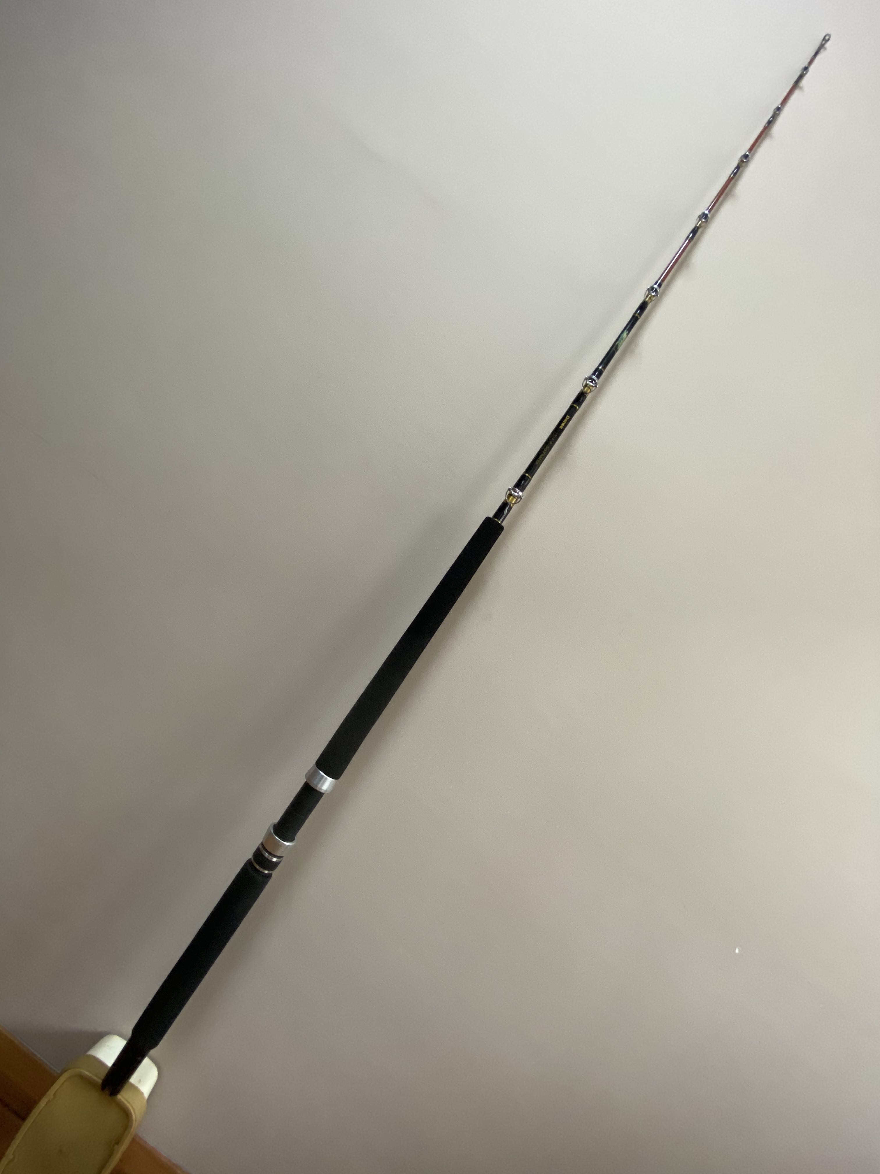 DAIWA V.I.P Saltwater Fishing Rod, Sports Equipment, Fishing on