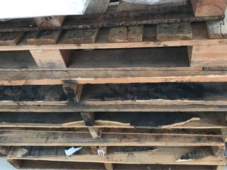 (Category: ) located in . Submitted by j111j (Listing ID 1010847313, Image 1). Description: .