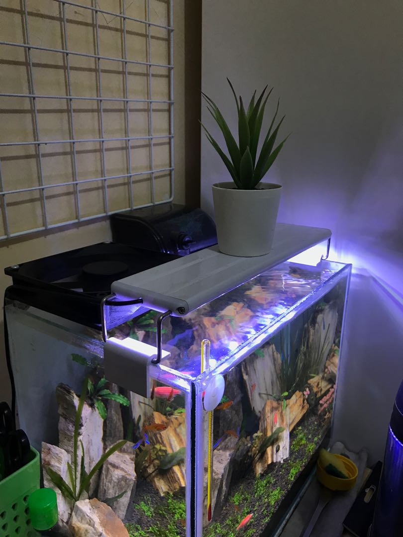 480 Koleksi Contoh Lampu Aquarium Gratis