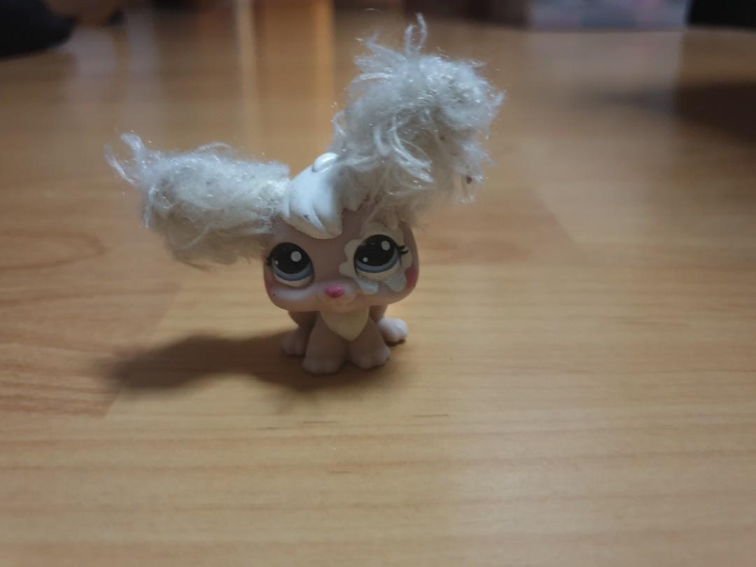 Lps bunny store
