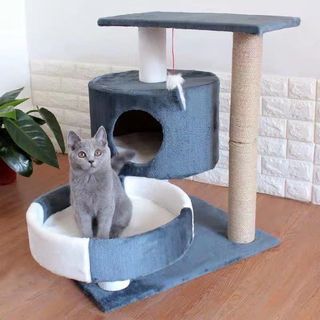 (Category: ) located in . Submitted by xxrnte (Listing ID 1010846195, Image 1). Description: .