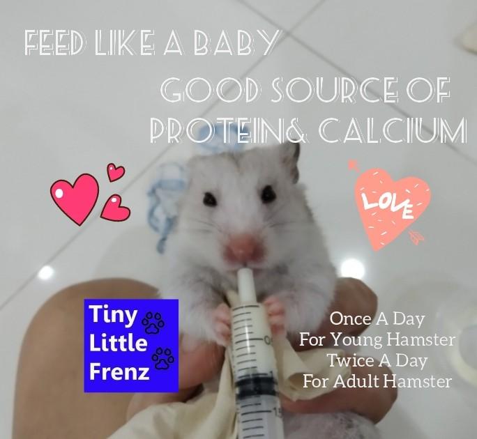 Hamster PET GOAT MILK POWDER (NO LACTOSE) For Syrian Dwarf Hamster