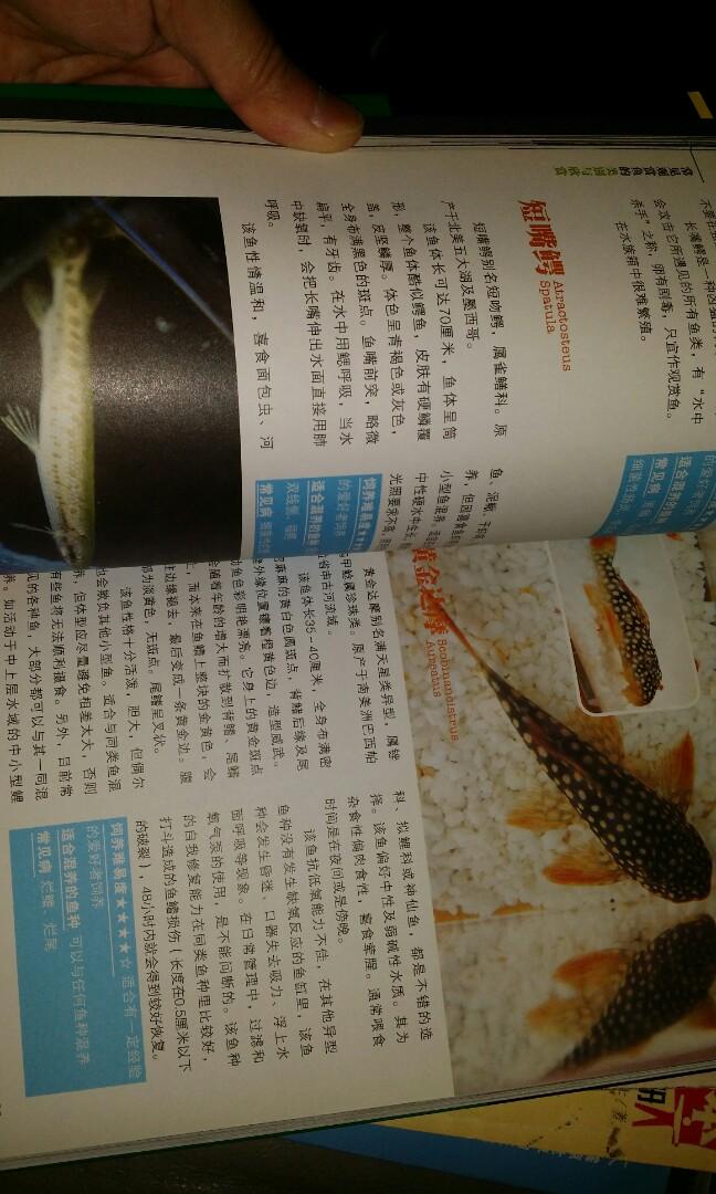 養魚書 觀賞魚 魚缸魚 參考書 Dvd已無左 屯門交收 其他 其他 Carousell