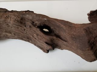 （分類：）位於 。 由 delock 提交（商品編號 1017193730，圖片 1）。簡介： 。