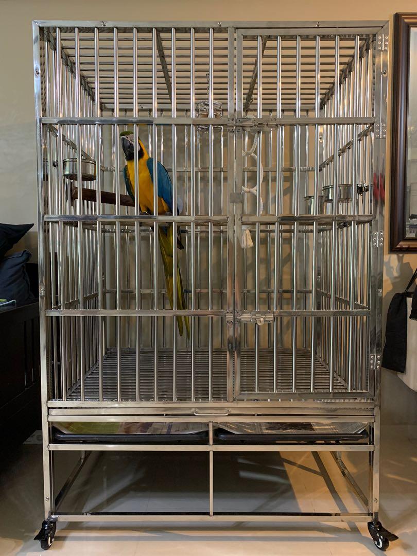 Custom stainless shop steel bird cages