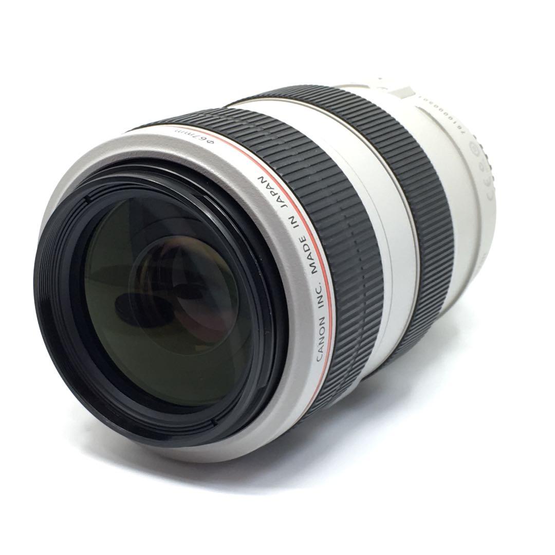 Canon EF 70-300mm F4-5.6L IS USM, 攝影器材, 鏡頭及裝備- Carousell