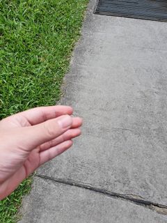 (Category: ) located in . Submitted by caydds (Listing ID 1017227024, Image 1). Description: .