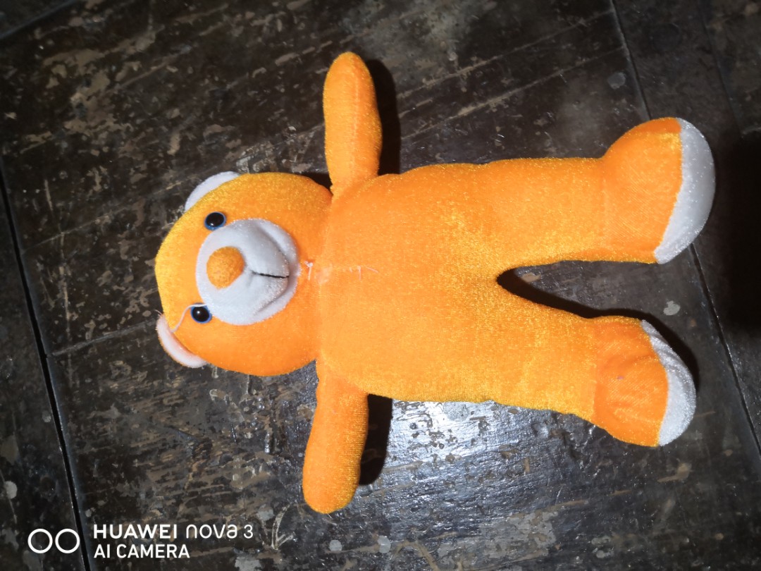 orange teddy