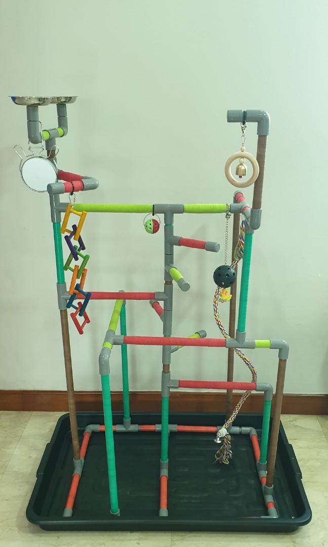 Hanging parrot play gym online