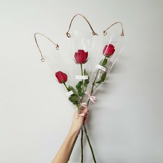 (Category: ) located in . Submitted by thefloralsentiment (Listing ID 1017326673, Image 1). Description: .