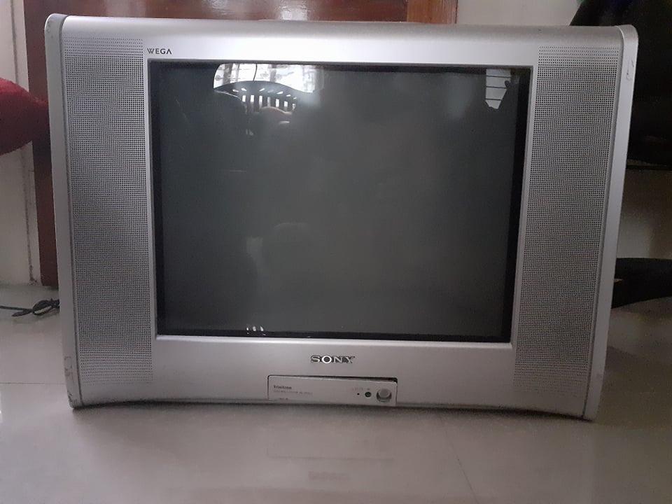 Sony Wega 21" Trinitron Video Multisystem AV Stereo, TV & Home