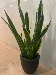 （分類：）位於 。 由 fffffinders 提交（商品編號 1017284148，圖片 1）。簡介： 。