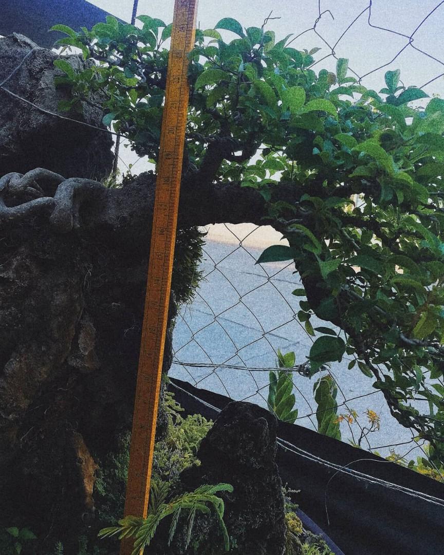 TUGAS BATO WITH LIMESTONE SHOW READY, Furniture & Home Living