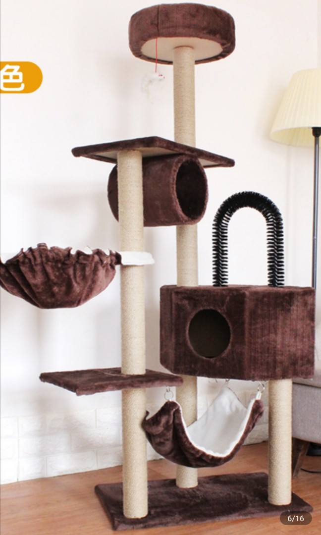 best double dog leash