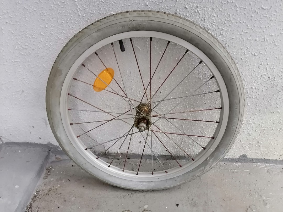 broad wheel bicycle