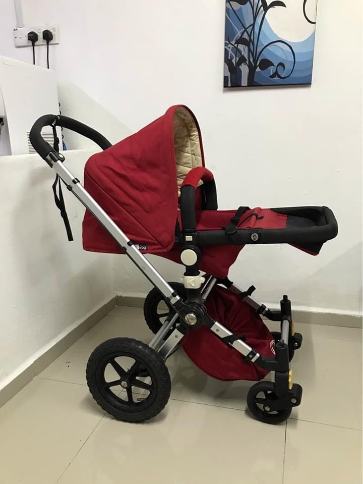 Bugaboo frog 2025 bassinet
