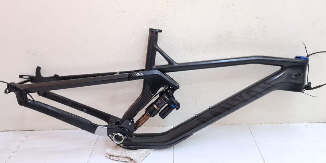 Canyon strive discount frame