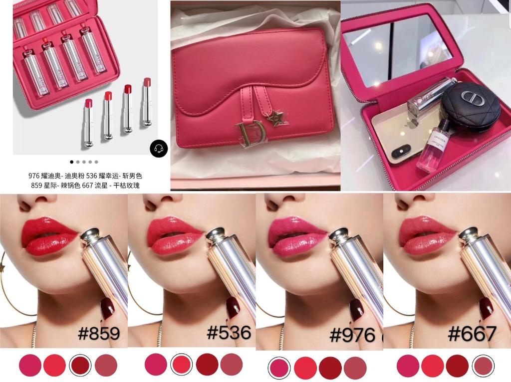 dior lipstick pouch