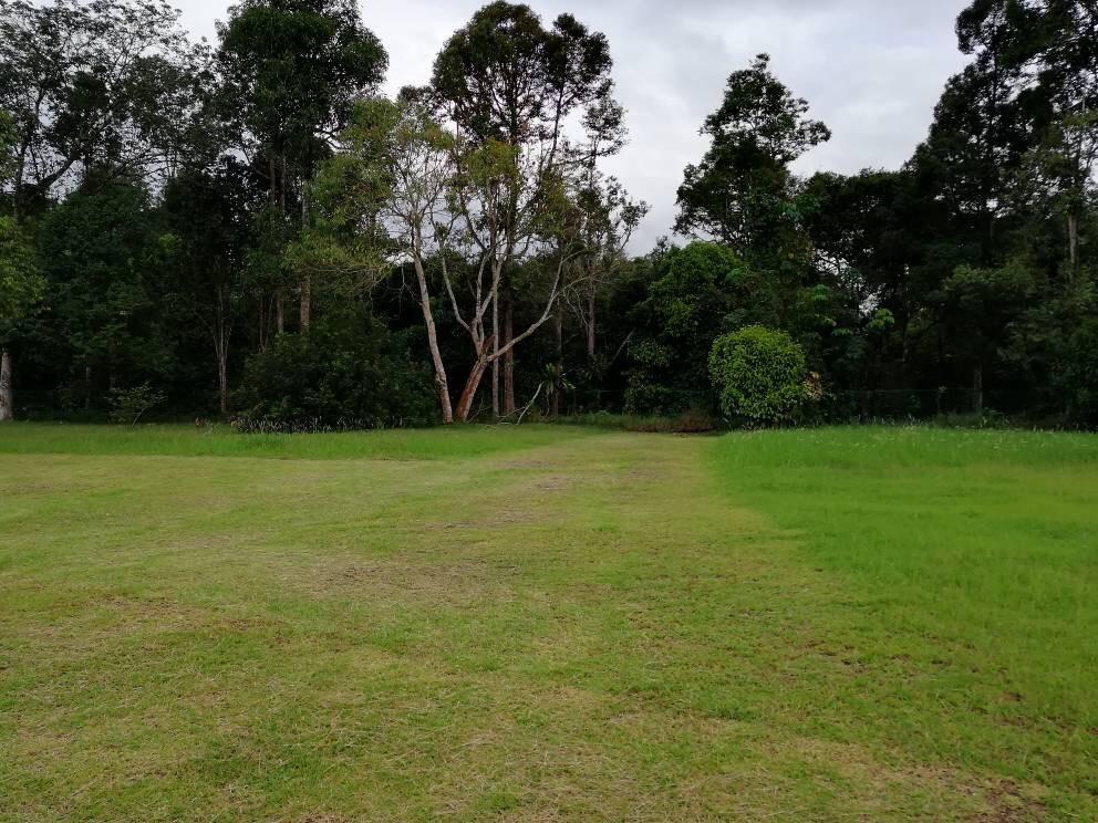 Dusun 3 Ekar Bersama Sungai Cantik Hulu Yam Batang Kali Property For Sale On Carousell